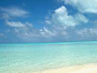 bora bora beach 12 